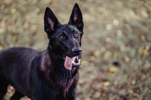 Image post by @shermanphoto_ on Instagram