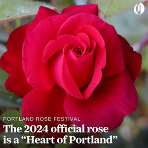 Image post by @theoregonian on Instagram