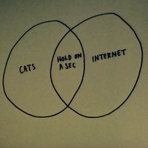 Image post by @havas on Instagram