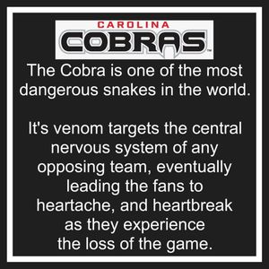 Image post by @carcobras on Instagram