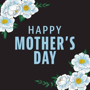 Image post by @mnufc on Instagram