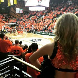 Image post by @csugoldenpoms on Instagram