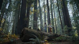 Image post by @reddigitalcinema on Instagram