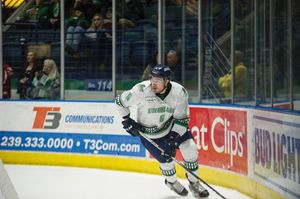 Image post by @fl_everblades on Instagram