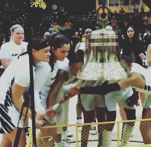 Image post by @mwsugriffons on Instagram