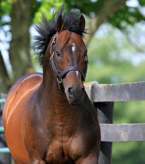 Image post by @spendthriftfarm on Instagram