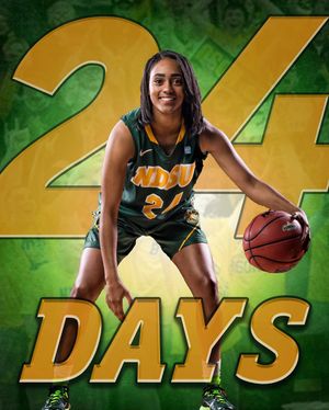 Image post by @ndsuwbb on Instagram