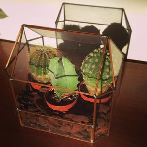 Image post by @oi_glass on Instagram