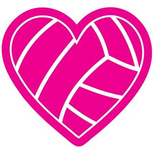 Image post by @mytribevolleyball on Instagram
