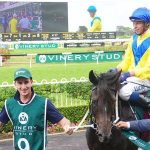 Image post by @australianturfclub on Instagram