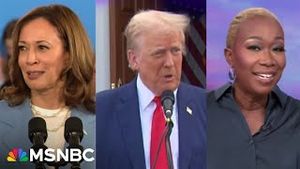 Video post by @msnbc on YouTube