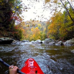 Image post by @nicktroutmankayak on Instagram