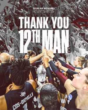 Image post by @AggieVolleyball on Twitter