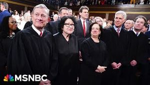 Video post by @msnbc on YouTube