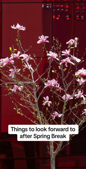 Image post by @wsupullman on TikTok