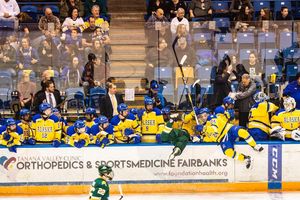 Image post by @nanookshockey on Instagram