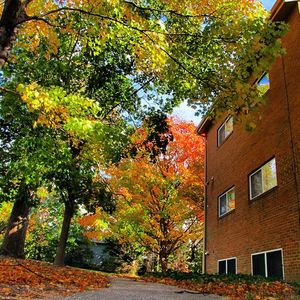 Image post by @loyolamaryland on Instagram