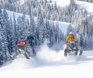 Image post by @polarissnow on Instagram