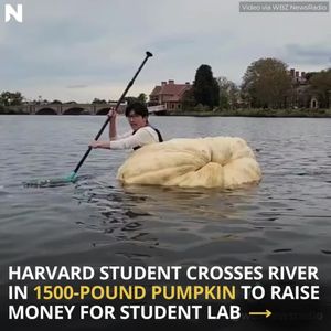 Image post by @nextshark on Instagram