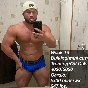 Image post by @thebodybuildingvegan on Instagram