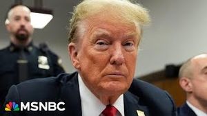 Video post by @msnbc on YouTube