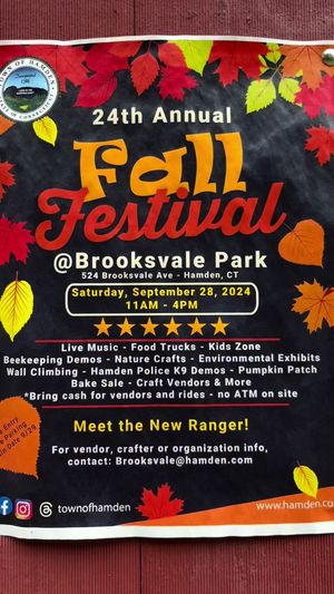 Video post by @theagency.qu on TikTok