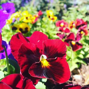Image post by @granbyranch on Instagram