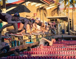 Image post by @utahswimdive on Instagram