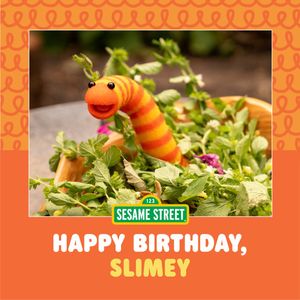 Image post by @sesamestreet on Instagram