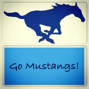Image post by @mcallenisd on Instagram