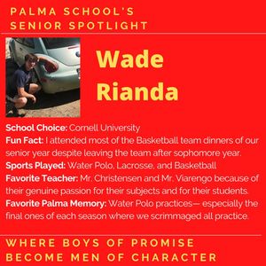 Image post by @palma_school on Instagram