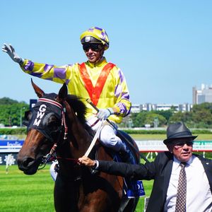 Image post by @australianturfclub on Instagram
