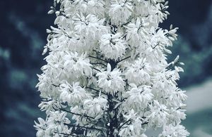 Image post by @brysonroatch on Instagram
