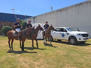 Image post by @NZHorseAmbulanceTrust on Facebook