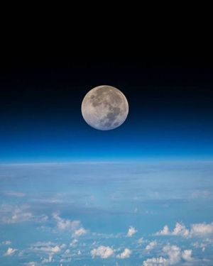 Image post by @discovery on Instagram
