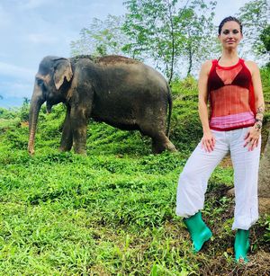 Image post by @elenacardone on Instagram