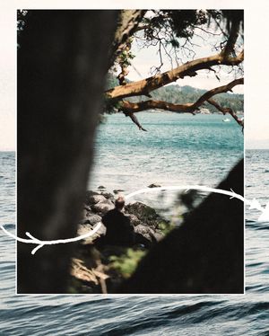 Image post by @tamanephotography on Instagram