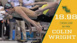 Image post by @tribeathletics on Instagram