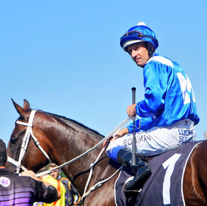Image post by @australianturfclub on Instagram