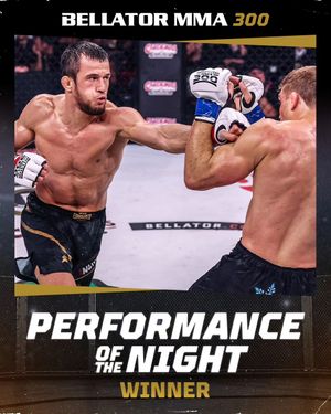 Image post by @bellatormma on Instagram