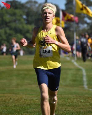 Image post by @dyestat on Instagram