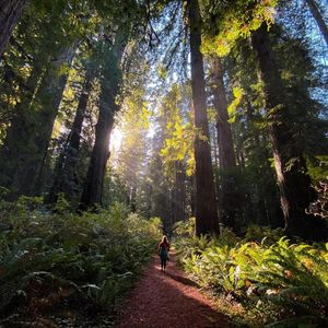 Image post by @nationalparkservice on Instagram
