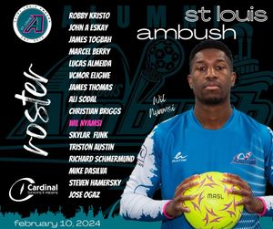 Image post by @stlouisambush on Instagram
