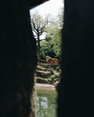 Image post by @vsco on Instagram