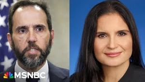 Video post by @msnbc on YouTube