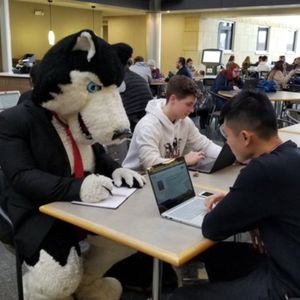 Image post by @niuhuskies on Instagram