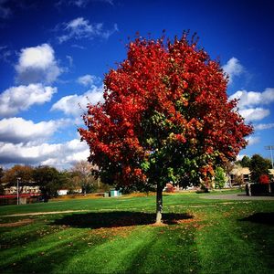 Image post by @fairfieldu on Instagram