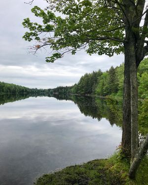 Image post by @themainemag on Instagram