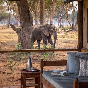 Image post by @chiawasafaris on Instagram
