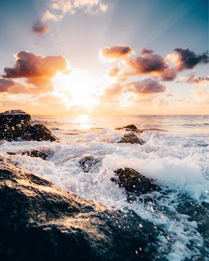 Image post by @sonyalpha on Instagram